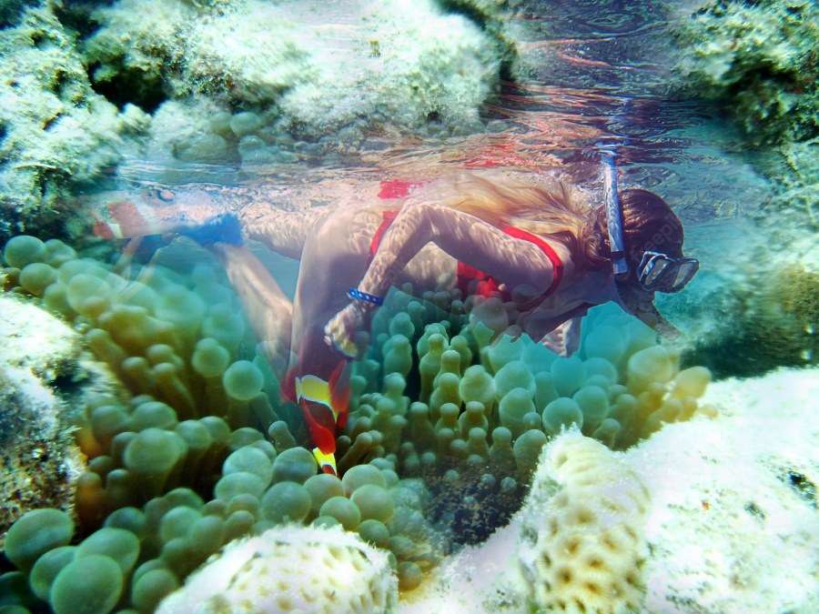 Andaman Coral Reef Tour Package