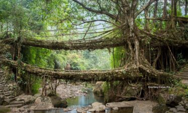 Bharat Darshan North East tour Packages