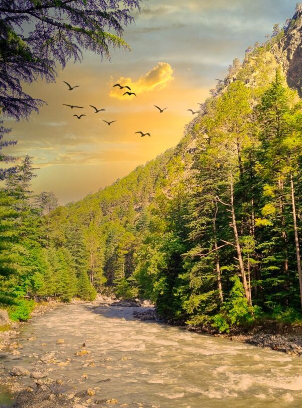 Himachal-Tourism-tour-Packages