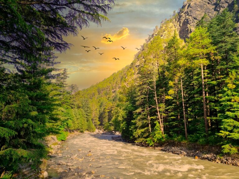 Himachal-Tourism-tour-Packages