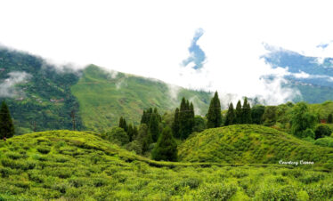 Bharat Darshan North East tour Packages