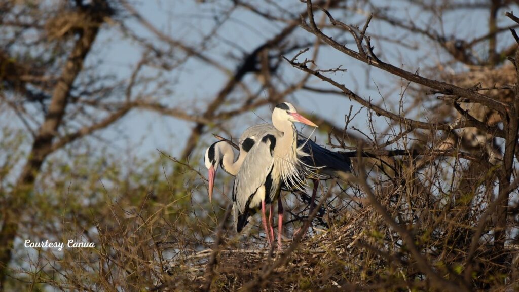 Bharat Darshan Golden Triangle Trip2