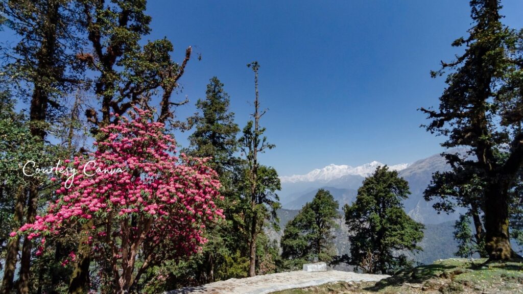 Bharat Darshan Kafni Tours