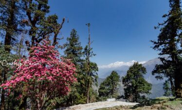 Bharat Darshan Kafni Tours