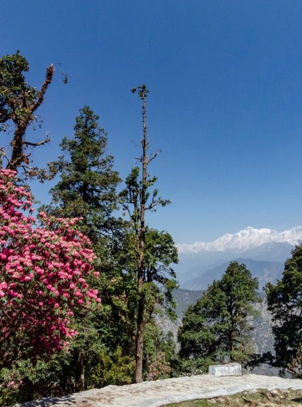 Bharat Darshan Kafni Tours