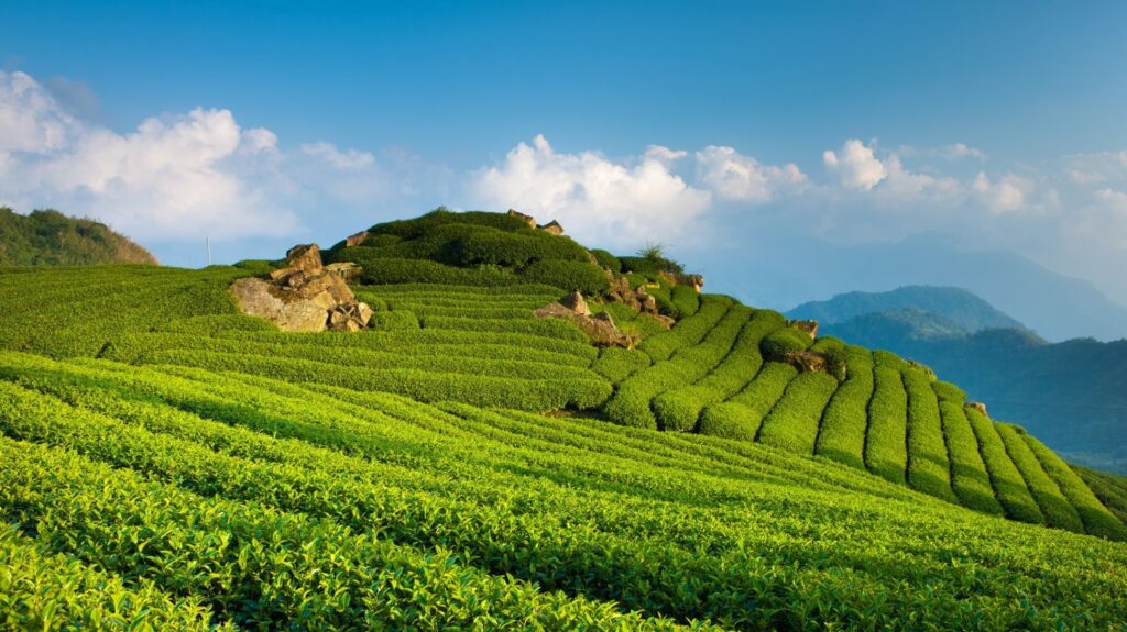 Bharat Darshan Kumaon Tour3