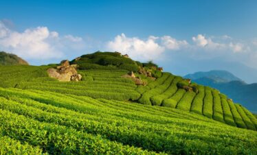 Bharat Darshan Kumaon Tour3