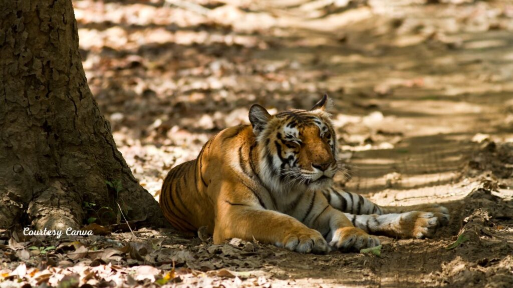 Bharat Darshan Kumaon Tour3