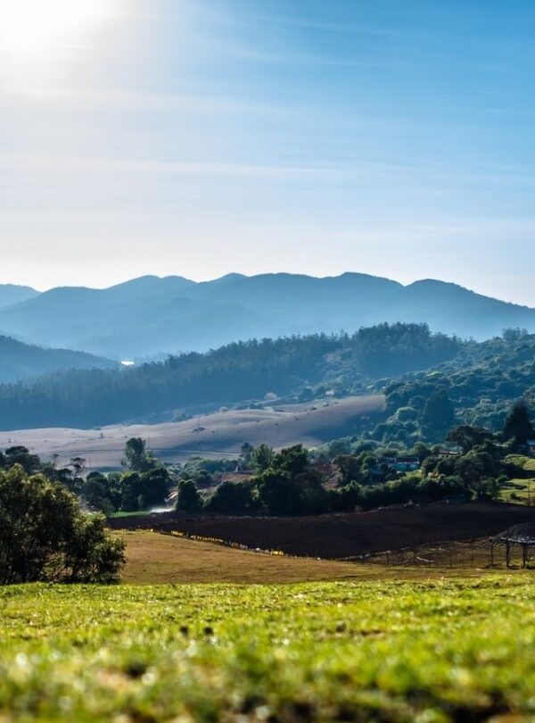 Bharat Darshan Nilgiris Tour Packages