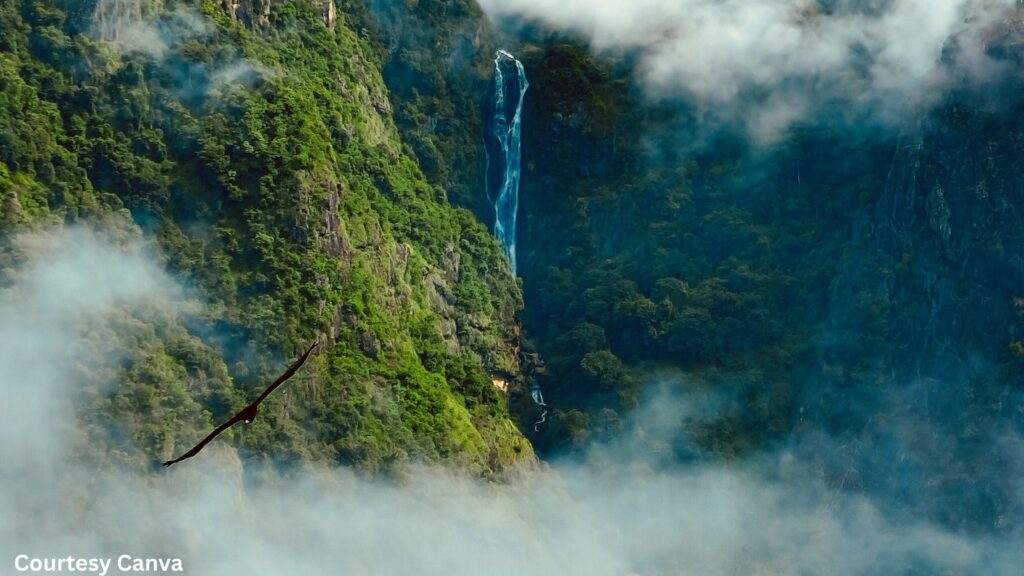 Bharat Darshan Nilgiris Tour Packages