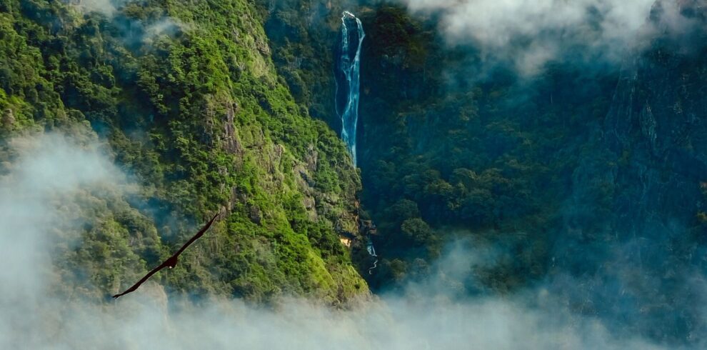 Bharat Darshan Nilgiris Tour Packages