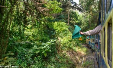 Bharat Darshan Nilgiris Tour Packages