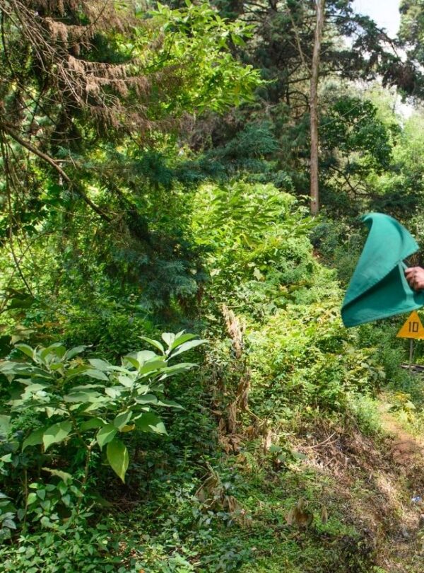 Bharat Darshan Nilgiris Tour Packages