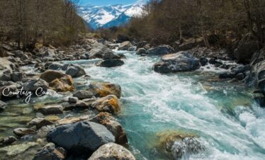 Bharat Darshan Panch Prayag Darshan