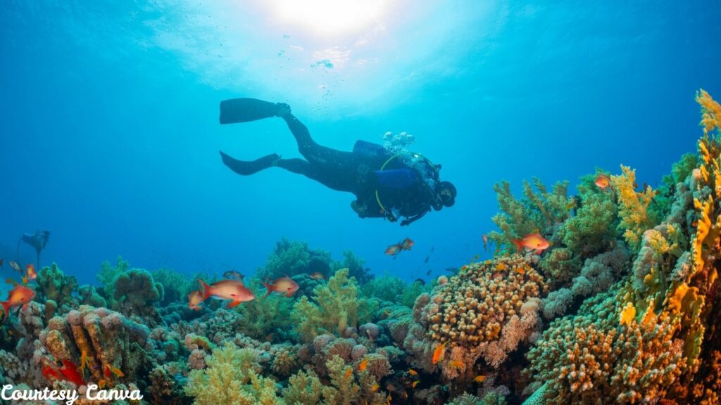 Bharat-Darshan-Andaman-Tourism