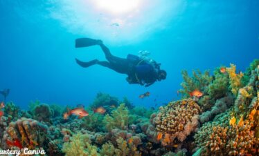 Bharat-Darshan-Andaman-Tourism