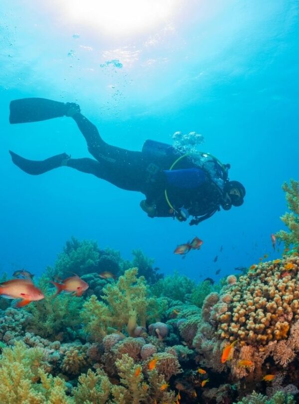 Bharat-Darshan-Andaman-Tourism