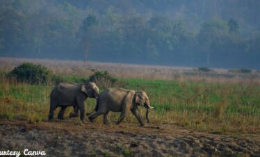 Bharat Darshan Corbett and Nainital Trip3