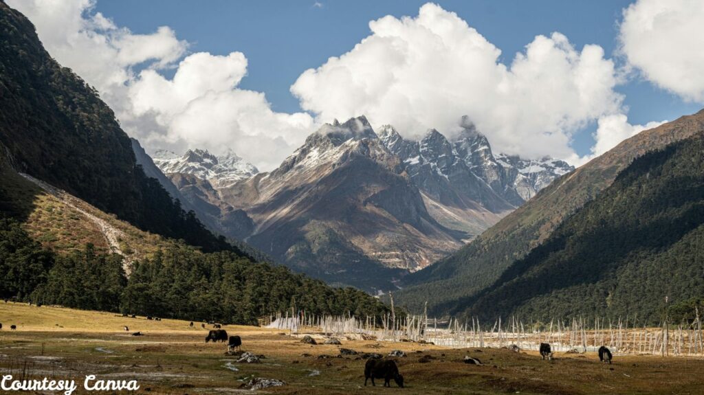 Lachen Sikkim Tour Packages1