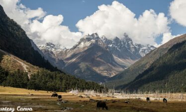 Lachen Sikkim Tour Packages1