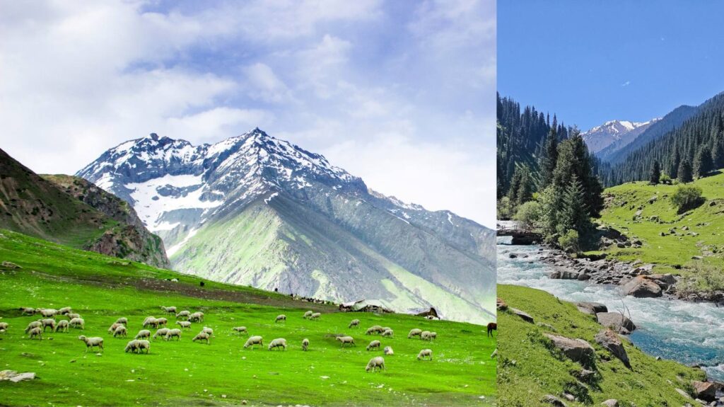 Bharat Darshan Kashmir Tour 6 days