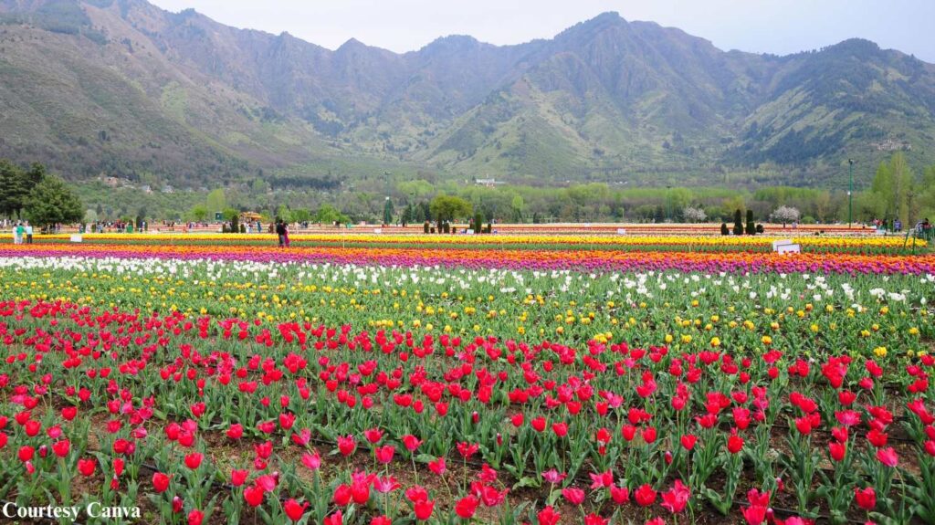 Bharat Darshan Kashmir Trip1