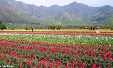 Bharat Darshan Kashmir Trip1