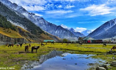 Bharat Darshan Kashmir Trip1