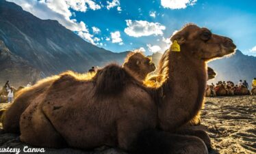 Bharat Darshan Leh Ladakh Trip