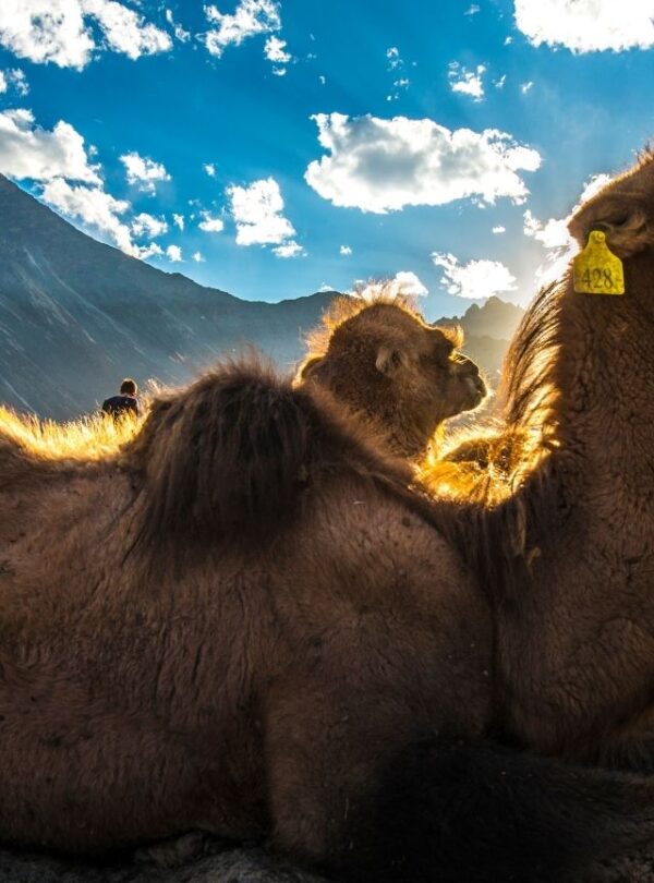 Bharat Darshan Leh Ladakh Trip