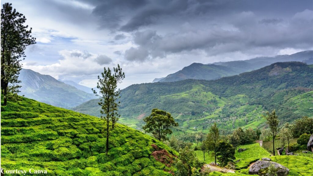 Bharat Darshan Ooty Wayanad tour Packages