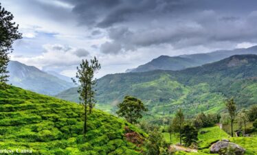 Bharat Darshan Ooty Wayanad tour Packages