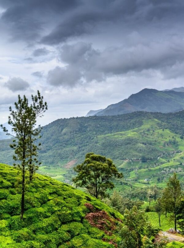 Bharat Darshan Ooty Wayanad tour Packages