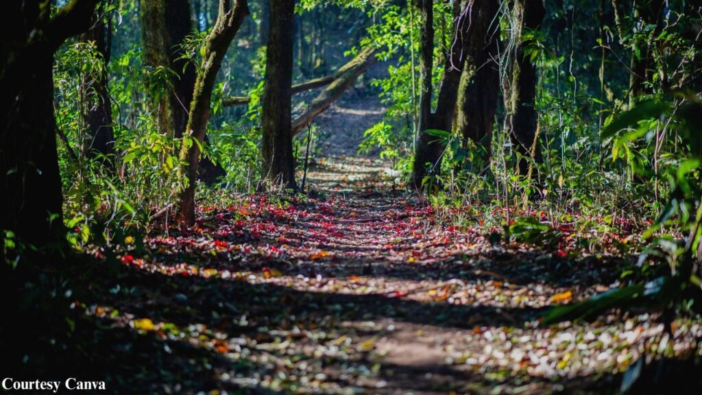 Bharat Darshan Lansdowne Tour