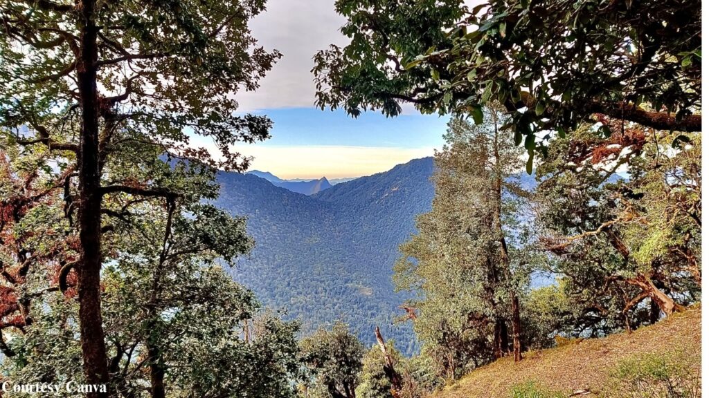Bharat Darshan Mussoorie and Dhanaulti Combo