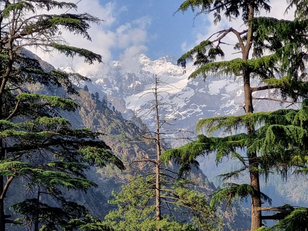 Manali By Volvo by Bharat Darshan Tours Lite